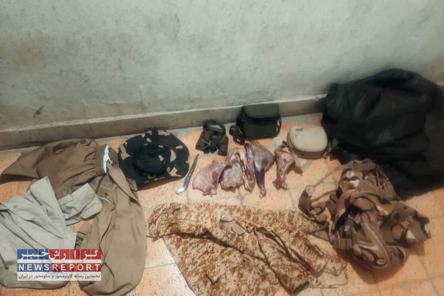 قطعات گوشت بره میش وحشی در شهرستان قیروکارزین کشف و ضبط شد