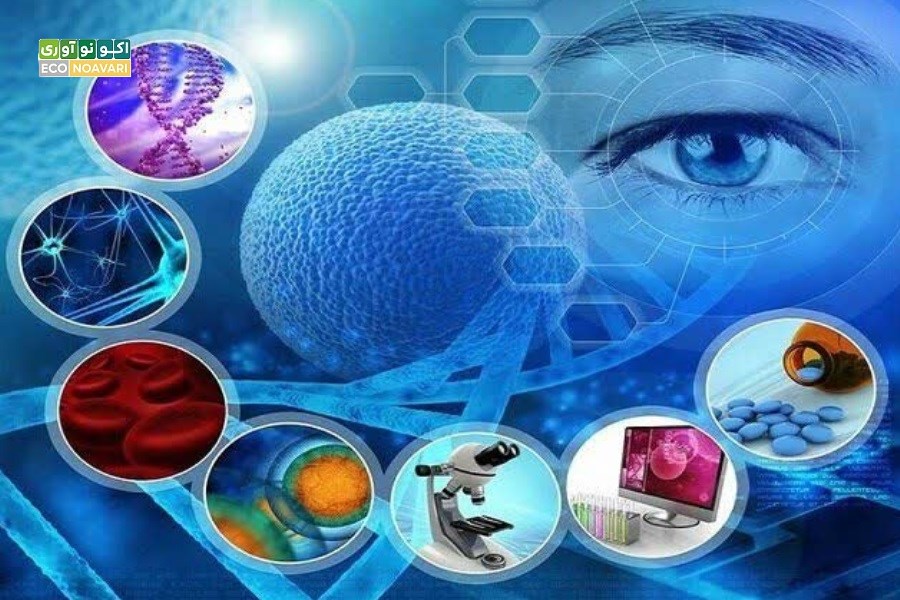 ایران میزبان اولین کنفرانس بین‌المللی بیوتک