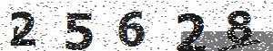 تصویر امنیتی