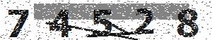تصویر امنیتی