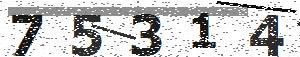 تصویر امنیتی