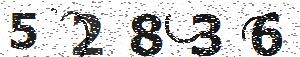 تصویر امنیتی